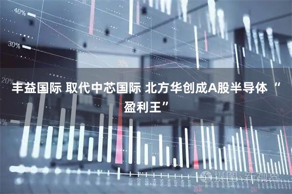 丰益国际 取代中芯国际 北方华创成A股半导体 “盈利王”