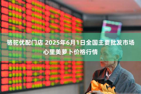 骆驼优配门店 2025年6月1日全国主要批发市场心里美萝卜价格行情