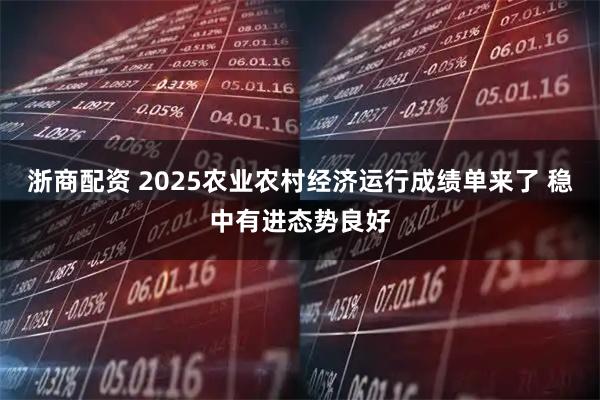 浙商配资 2025农业农村经济运行成绩单来了 稳中有进态势良好