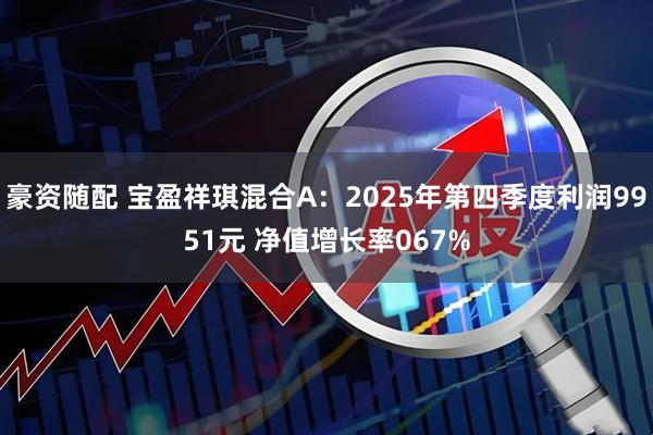 豪资随配 宝盈祥琪混合A：2025年第四季度利润9951元 净值增长率067%