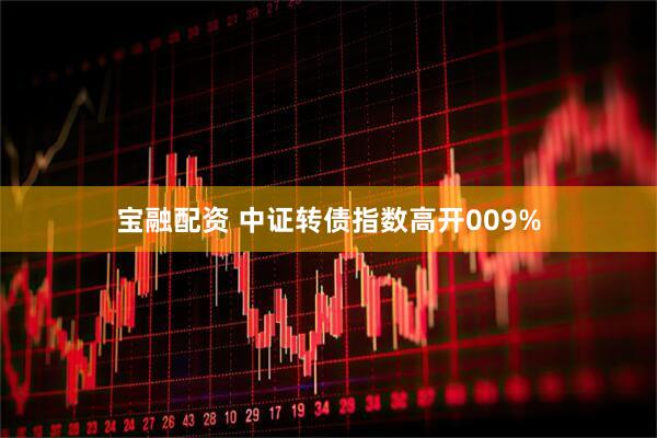 宝融配资 中证转债指数高开009%