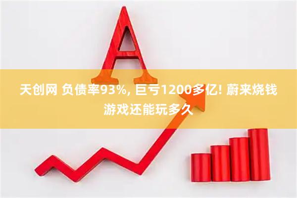 天创网 负债率93%, 巨亏1200多亿! 蔚来烧钱游戏还能玩多久